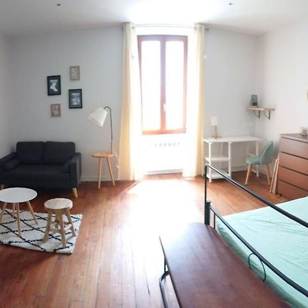 Apartament Le Beausejour - Cosy T2 - Business Ou We - Gare Bellegarde-sur-Valserine Zewnętrze zdjęcie